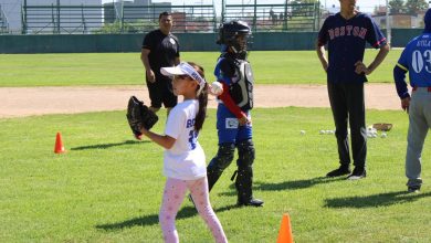 béisbol softbol gobierno del estado slp