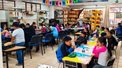 biblioteca vacaciones slp