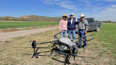fumigación gobierno municipal slp
