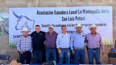 bocas gobierno municipal slp