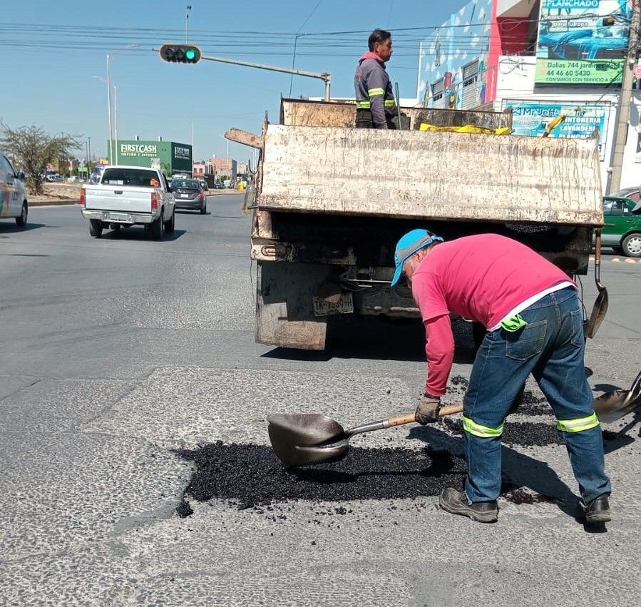 boulevard gobierno municipal slp