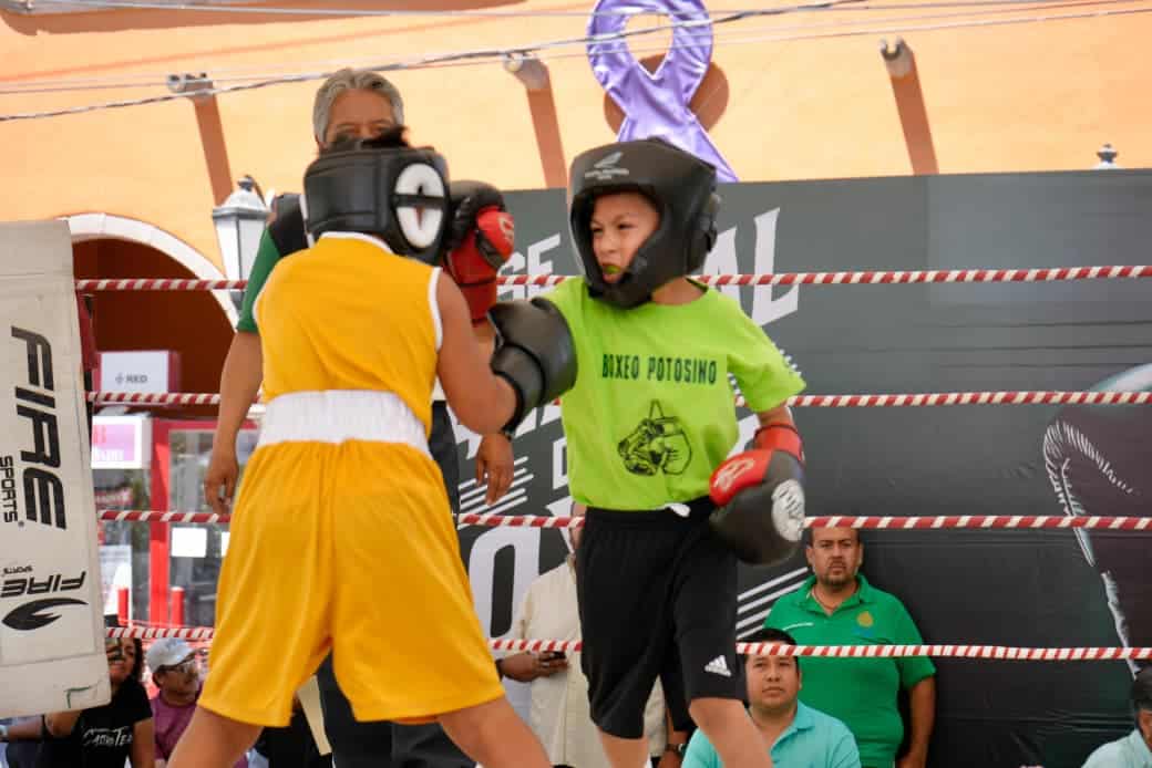 boxeo infantil villa de pozos