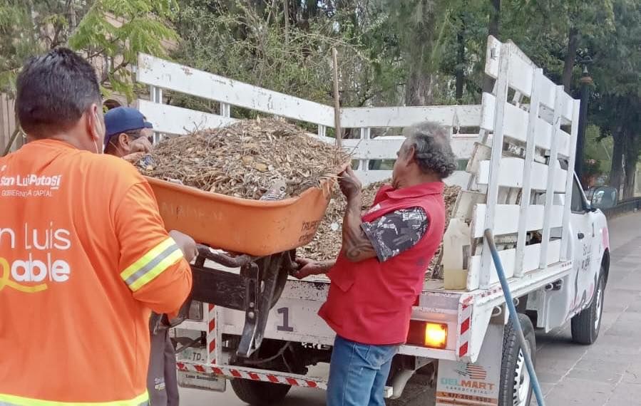calzada de guadalupe gobierno municipal slp