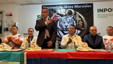 campeonato tigre blanco