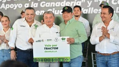 campo gallardo apoyo