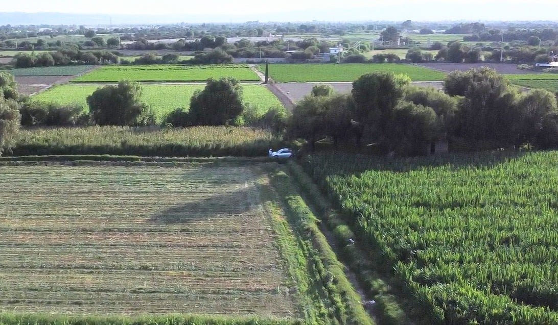 soledad campo