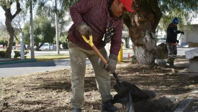 capital al 100 gobierno municipal slp