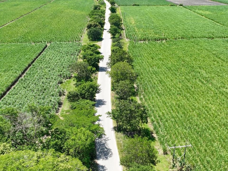 carretera Valles-Naranjo 2