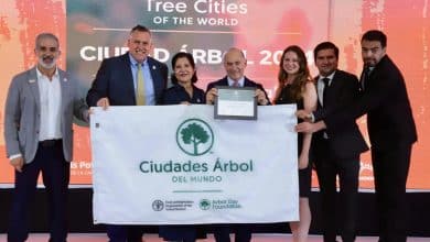 ciudad árbol slp galindo