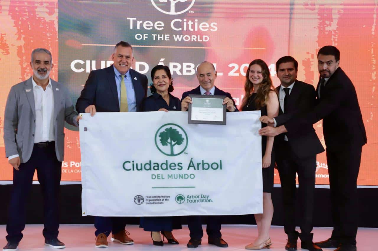 ciudad árbol slp galindo