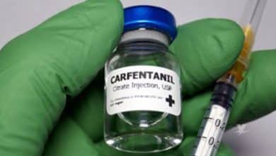 Carfentanilo: la droga 100 veces más potente que el fentanilo