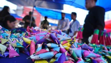 cohetón villa de pozos|