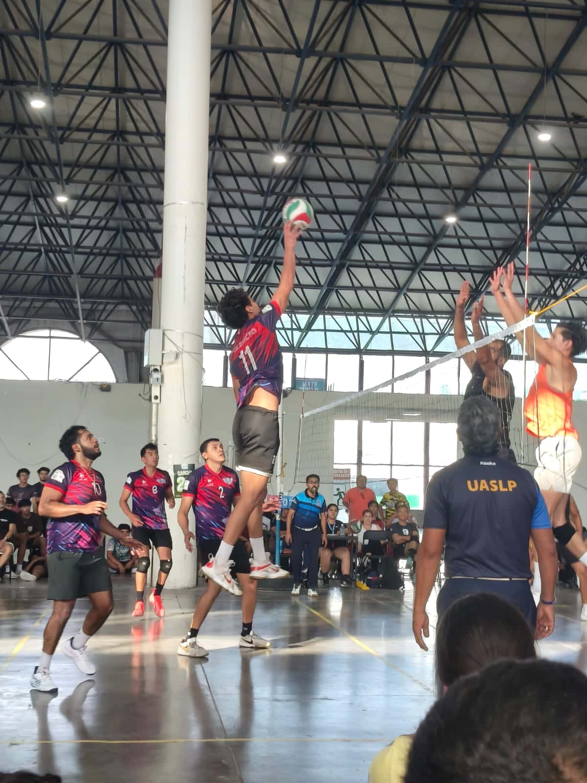 crazy lobos voleibol