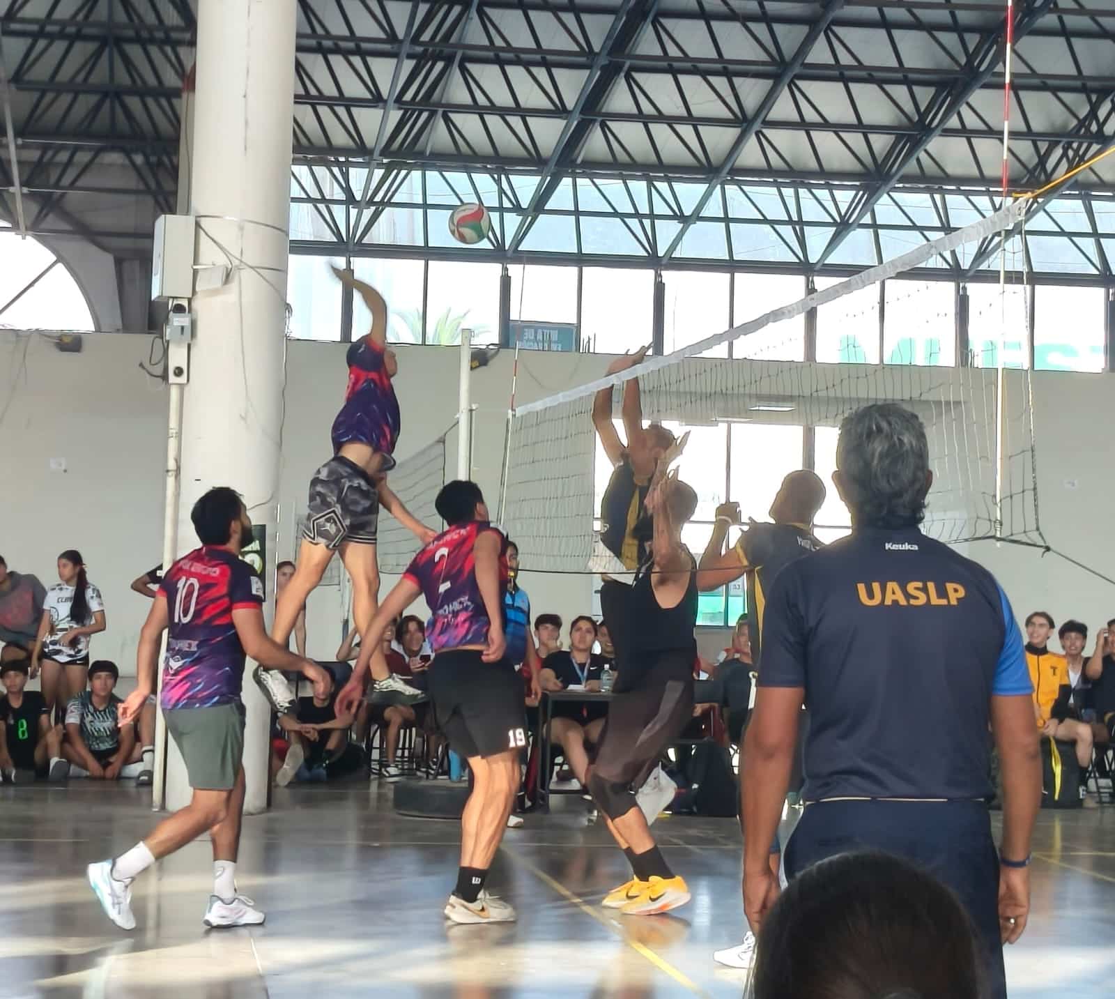 crazy lobos voleibol