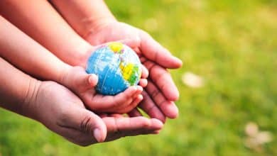 Día del Medio Ambiente