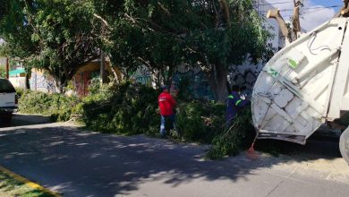 Gobierno de la Capital refuerza labores de mantenimiento urbano