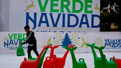 pista de hielo villa de pozos