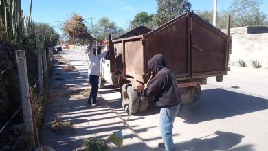 gobierno municipal slp bocas