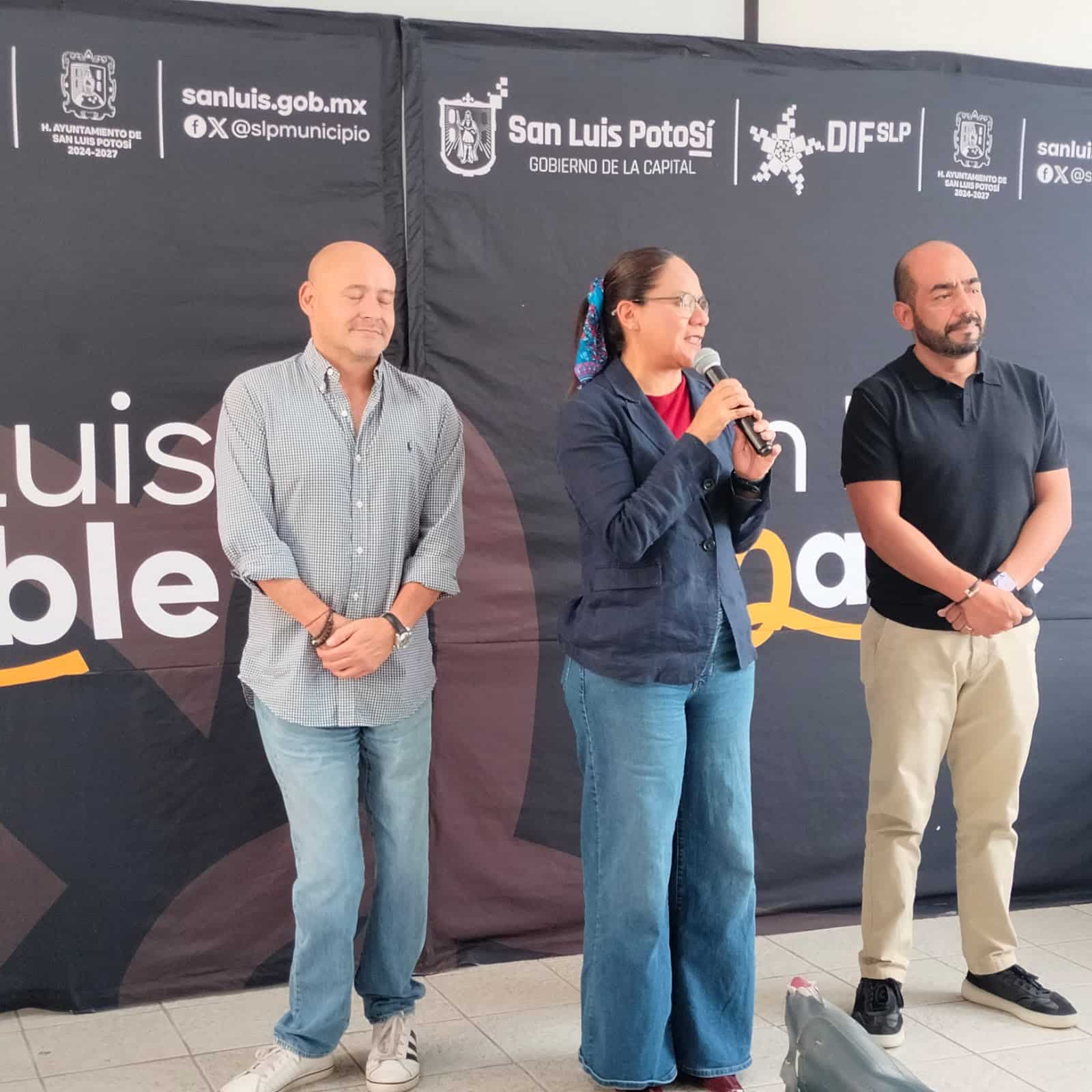 dif municipal slp sillas de ruedas