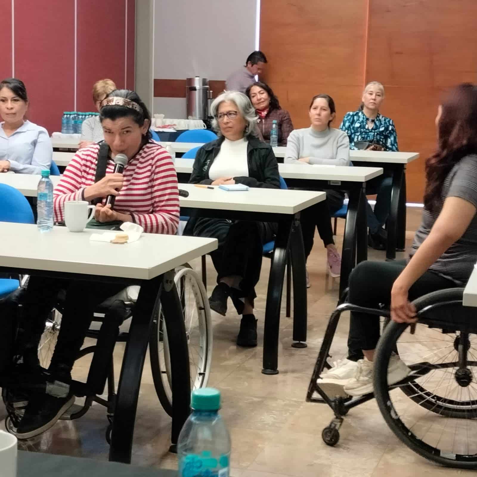 consulta discapacidad gobierno municipal slp