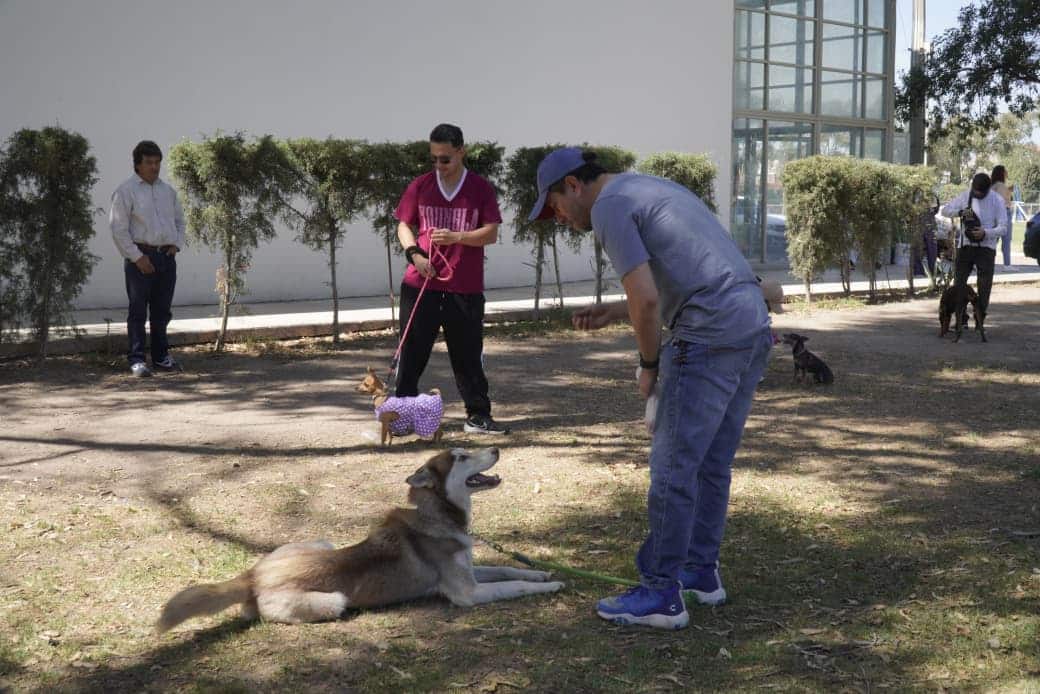 dog fest gobierno del estado slp