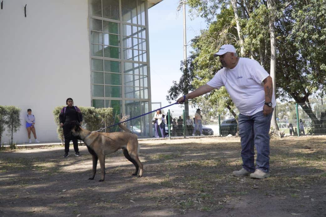 dog fest gobierno del estado slp