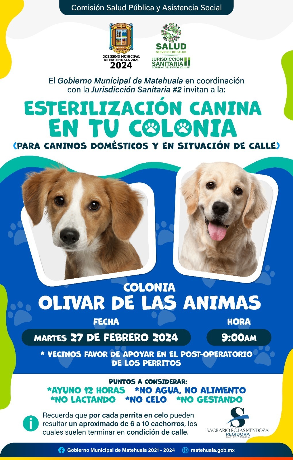 esterilizacion-mascotas-matehuala