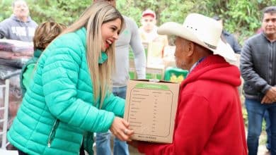 apoyos alimentarios