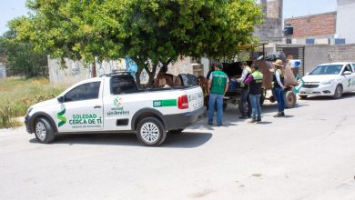 ecologia soledad maltrato animal