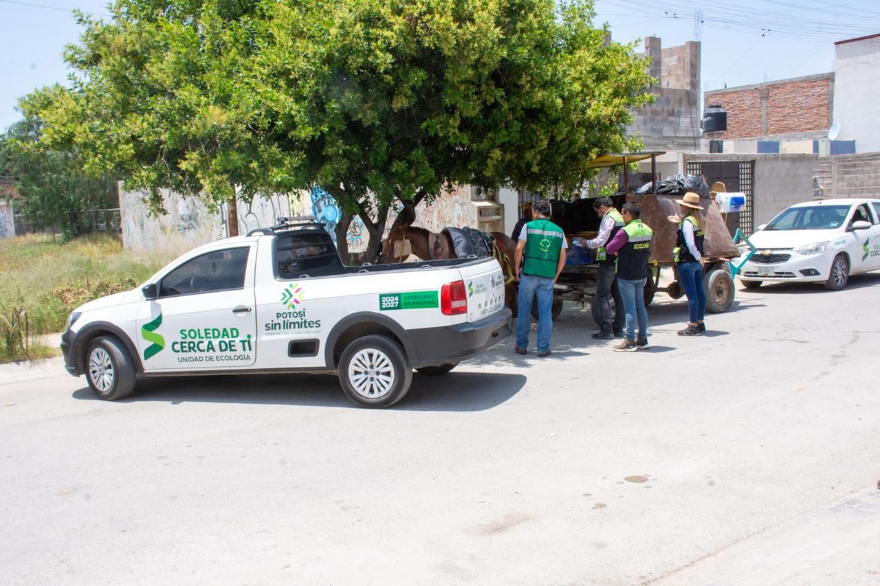 ecologia soledad maltrato animal