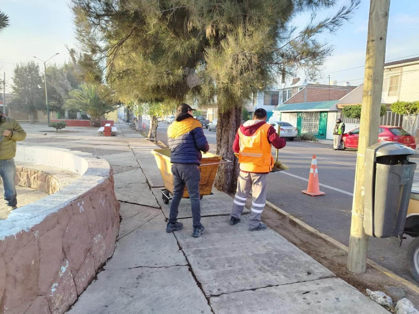 ecología pedro moreno gobierno municipal slp