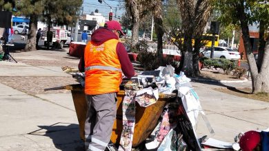ecología gobierno municipal slp