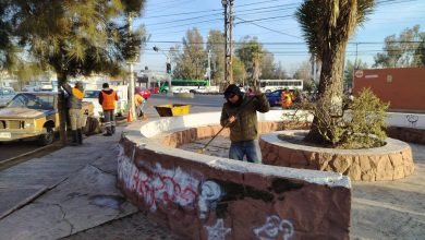 ecología pedro moreno gobierno municipal slp