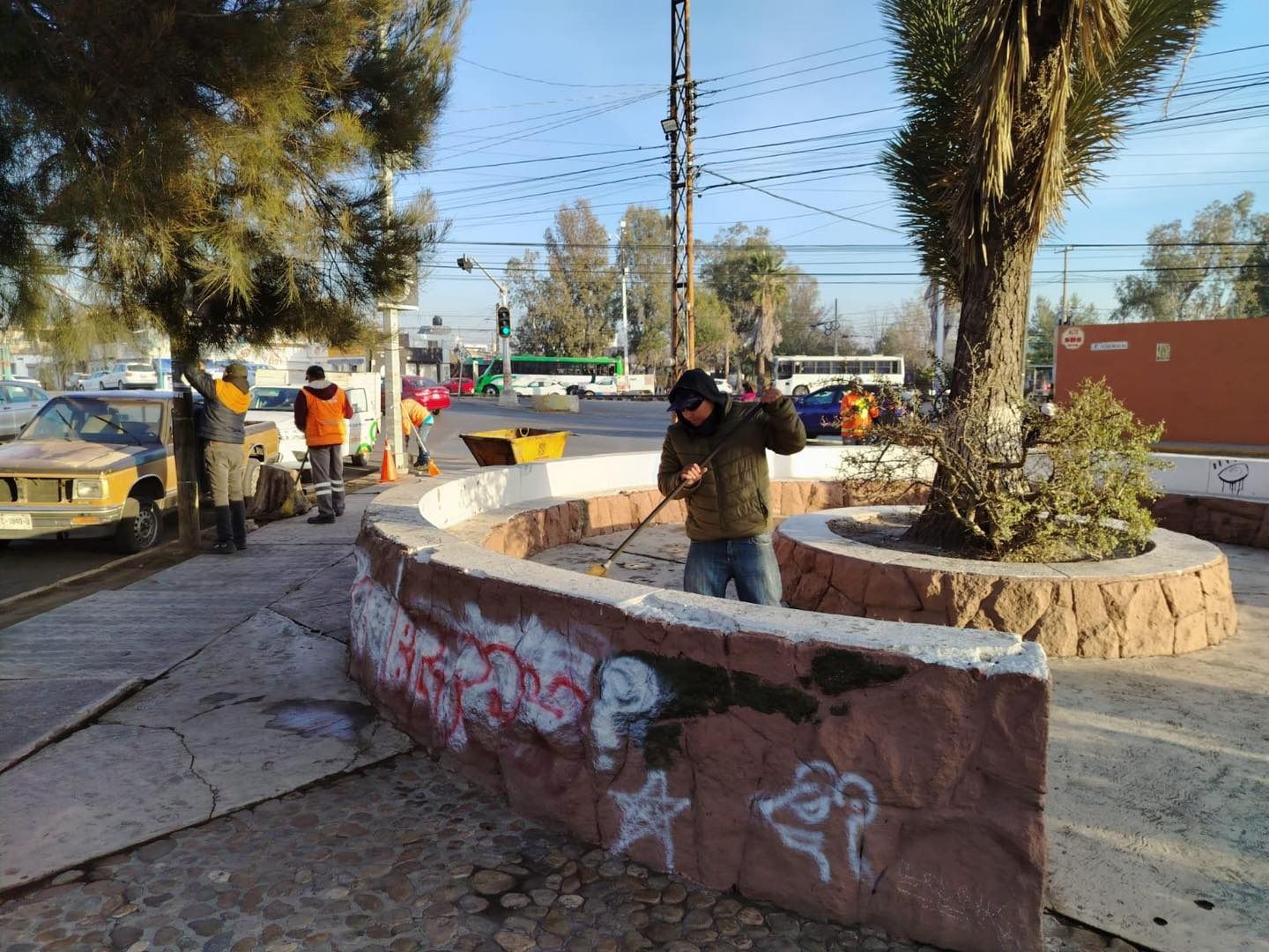 ecología pedro moreno gobierno municipal slp