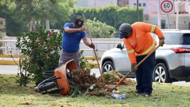 embellecimiento gobierno municipal slp