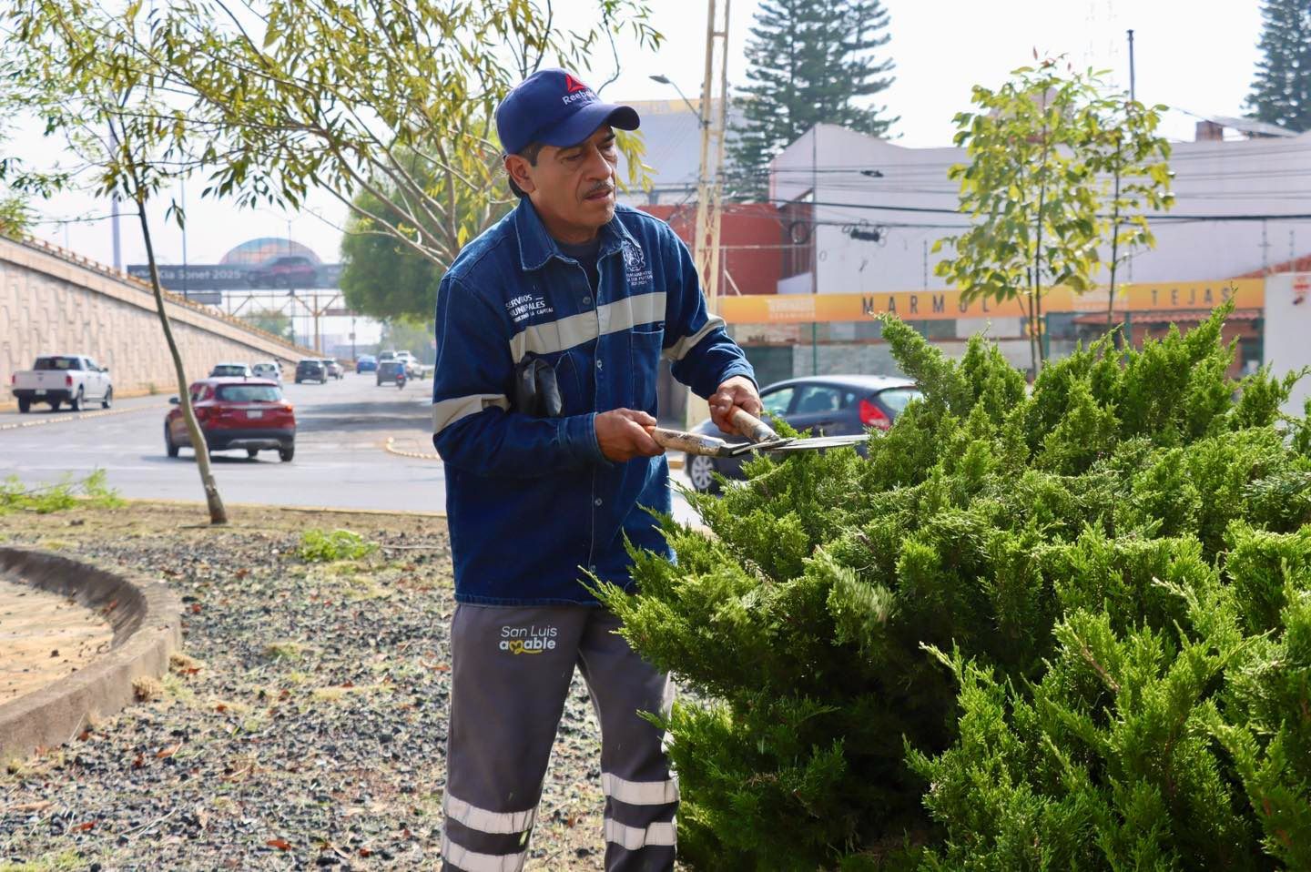 embellecimiento gobierno municipal slp