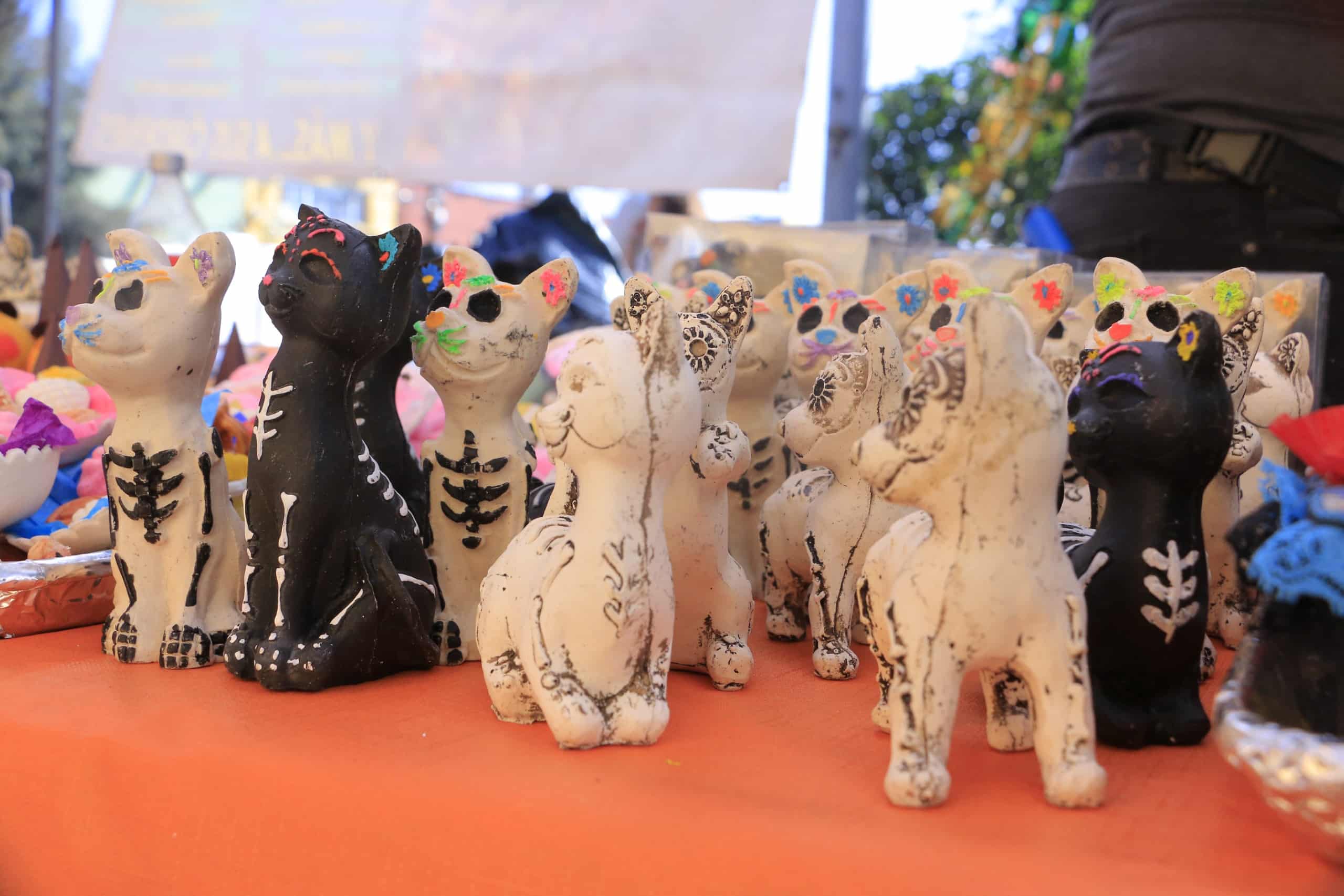 emprendedores locales villa de pozos