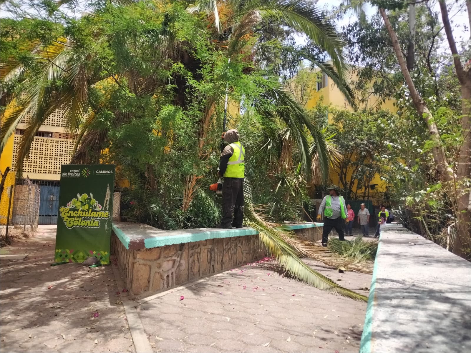 enchulame la colonia gobierno del estado