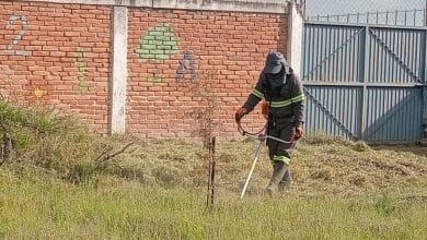 escuelas villa de pozos