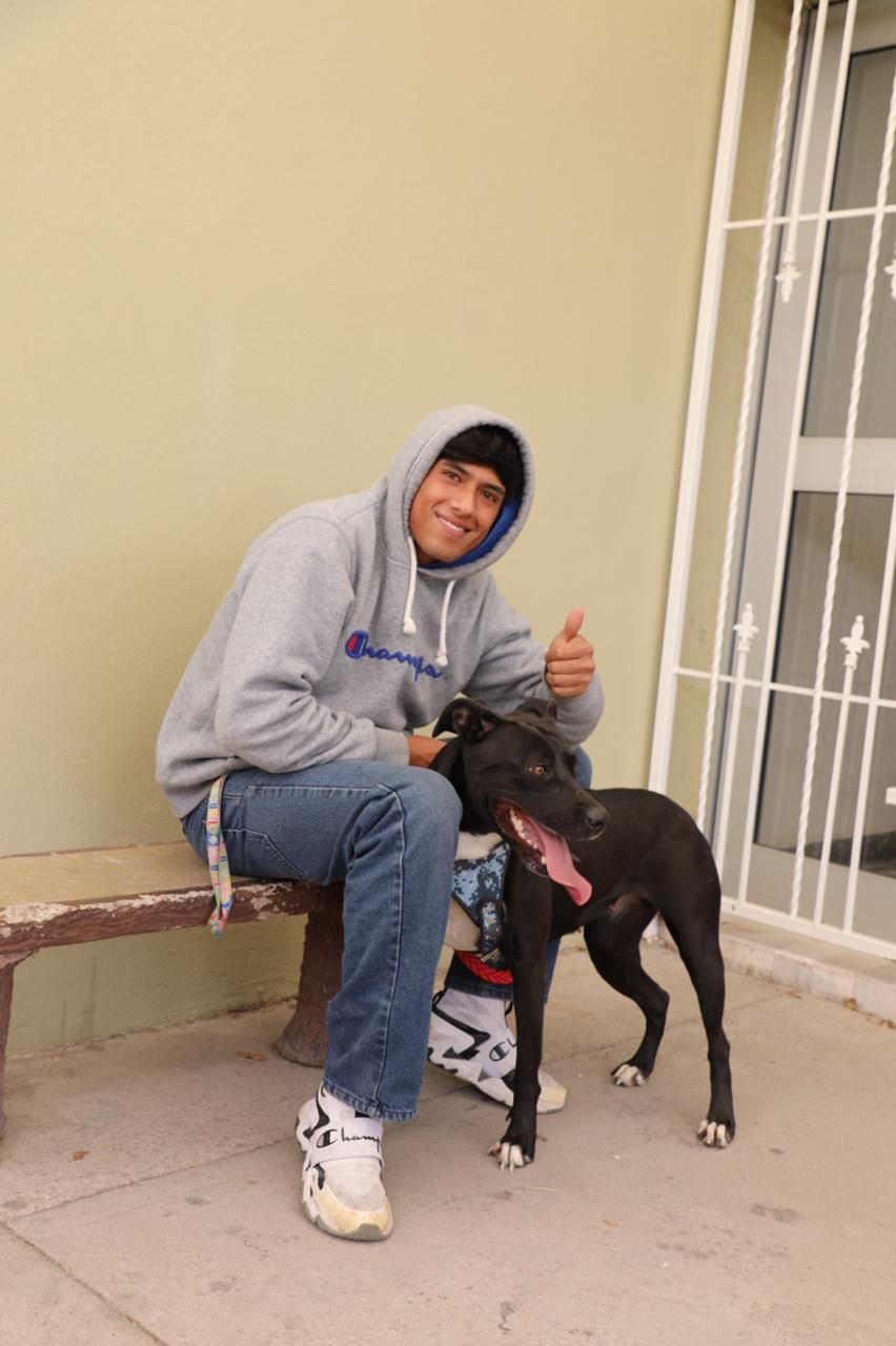 esterilizaciones servicios de salud gobierno del estado slp