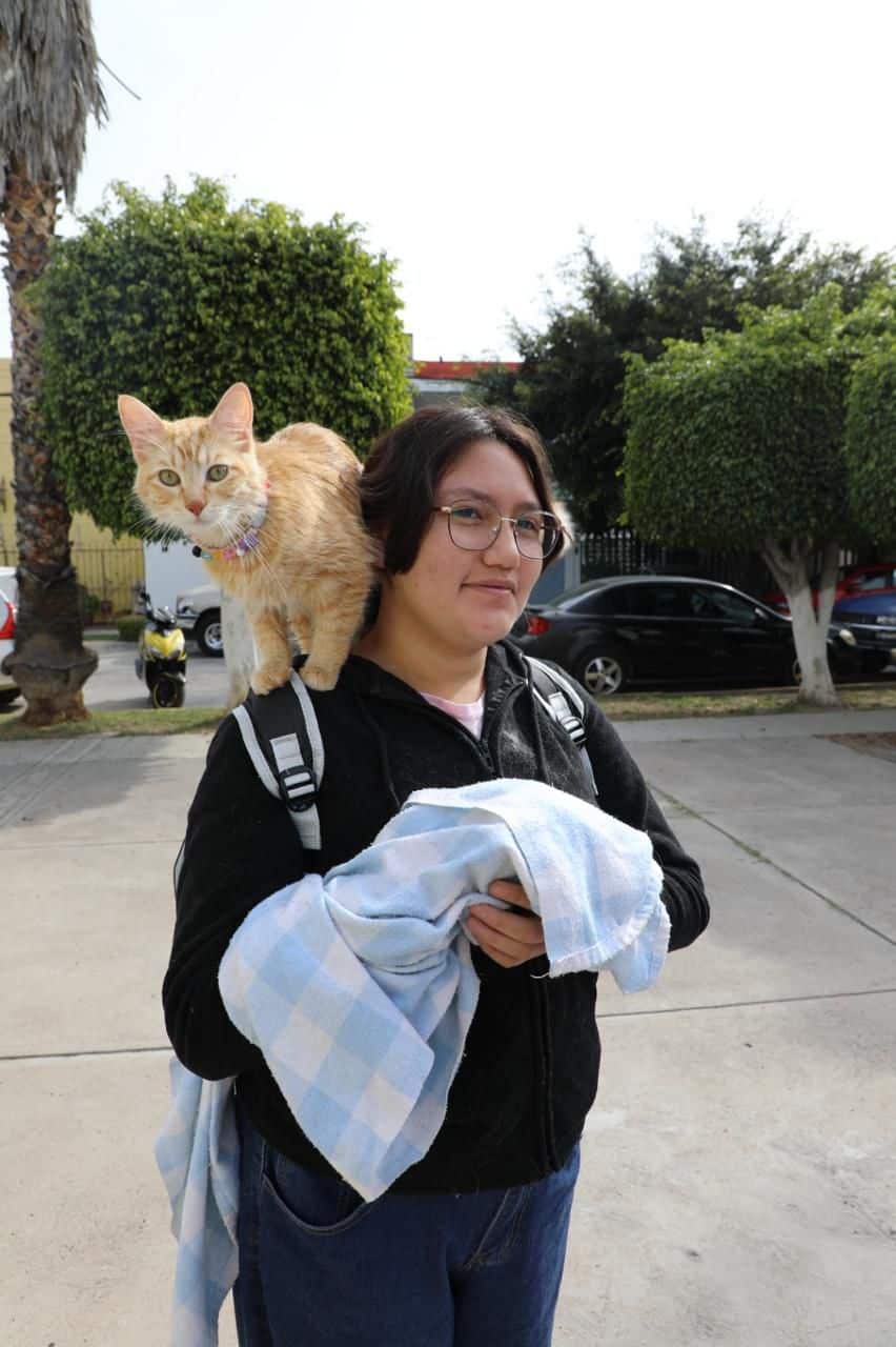 esterilizaciones servicios de salud gobierno del estado slp