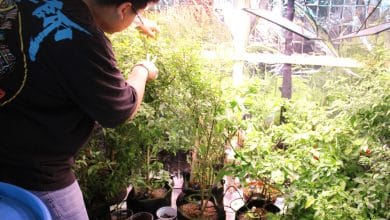 estudiantes itslp gobierno del estado