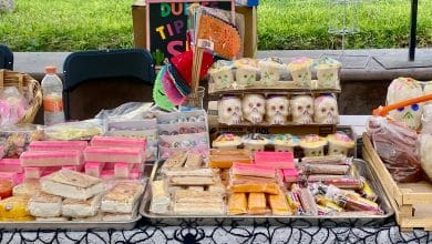 expo día de muertos villa de pozos