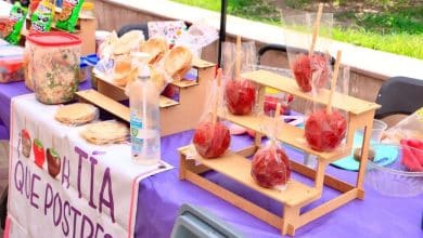 expo villa de pozos revolución mexicana