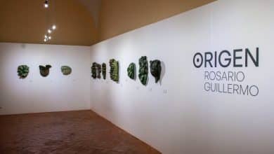 exposición uaslp