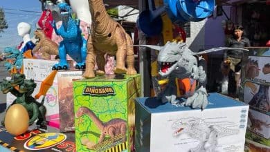 feria juguete soledad