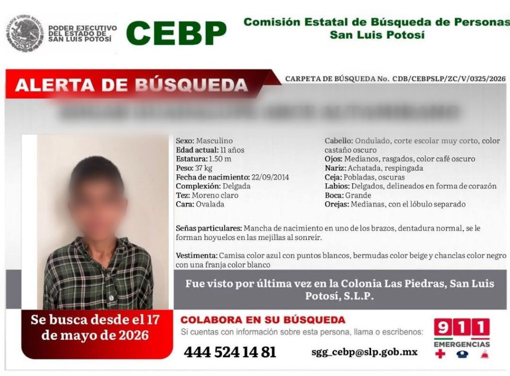 ficha de búsqueda
