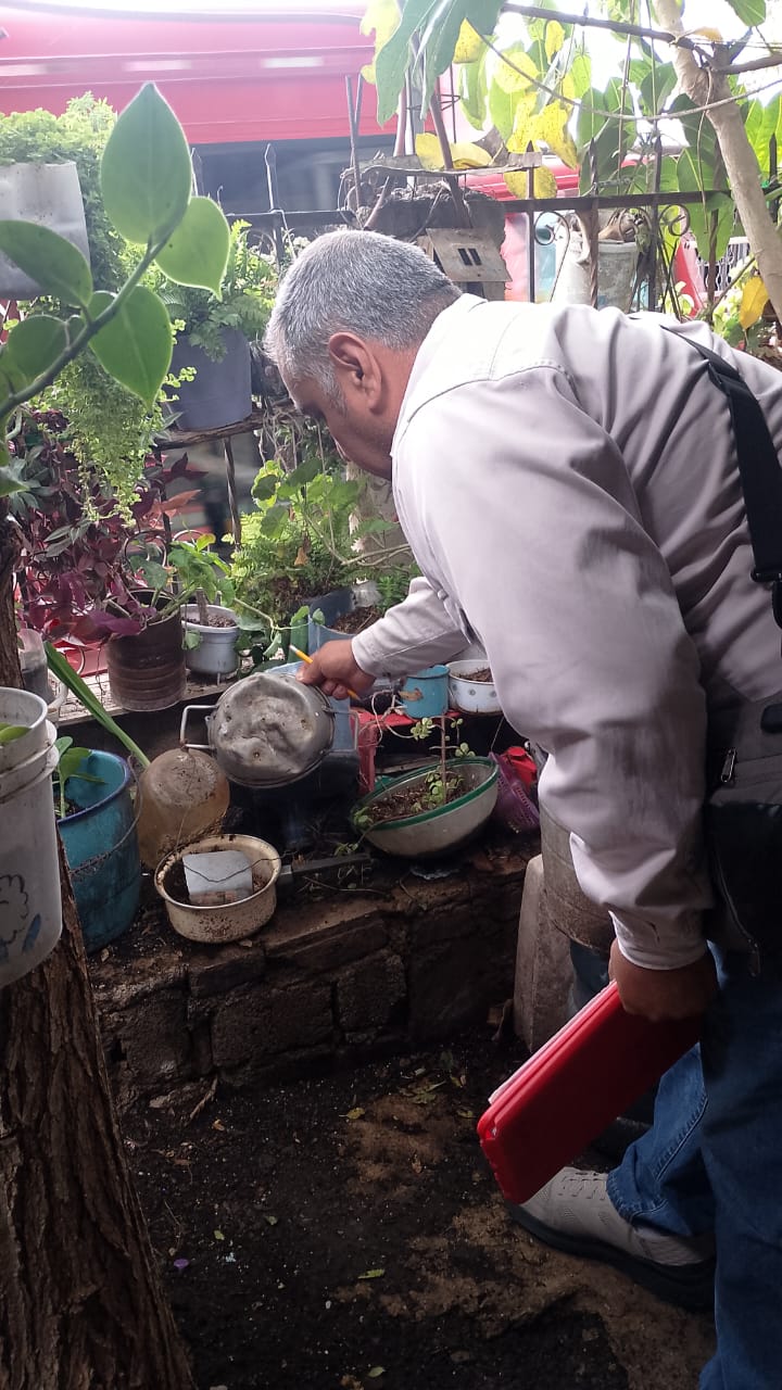 dengue servicios de salud