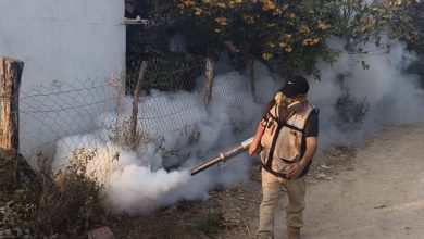 dengue servicios de salud