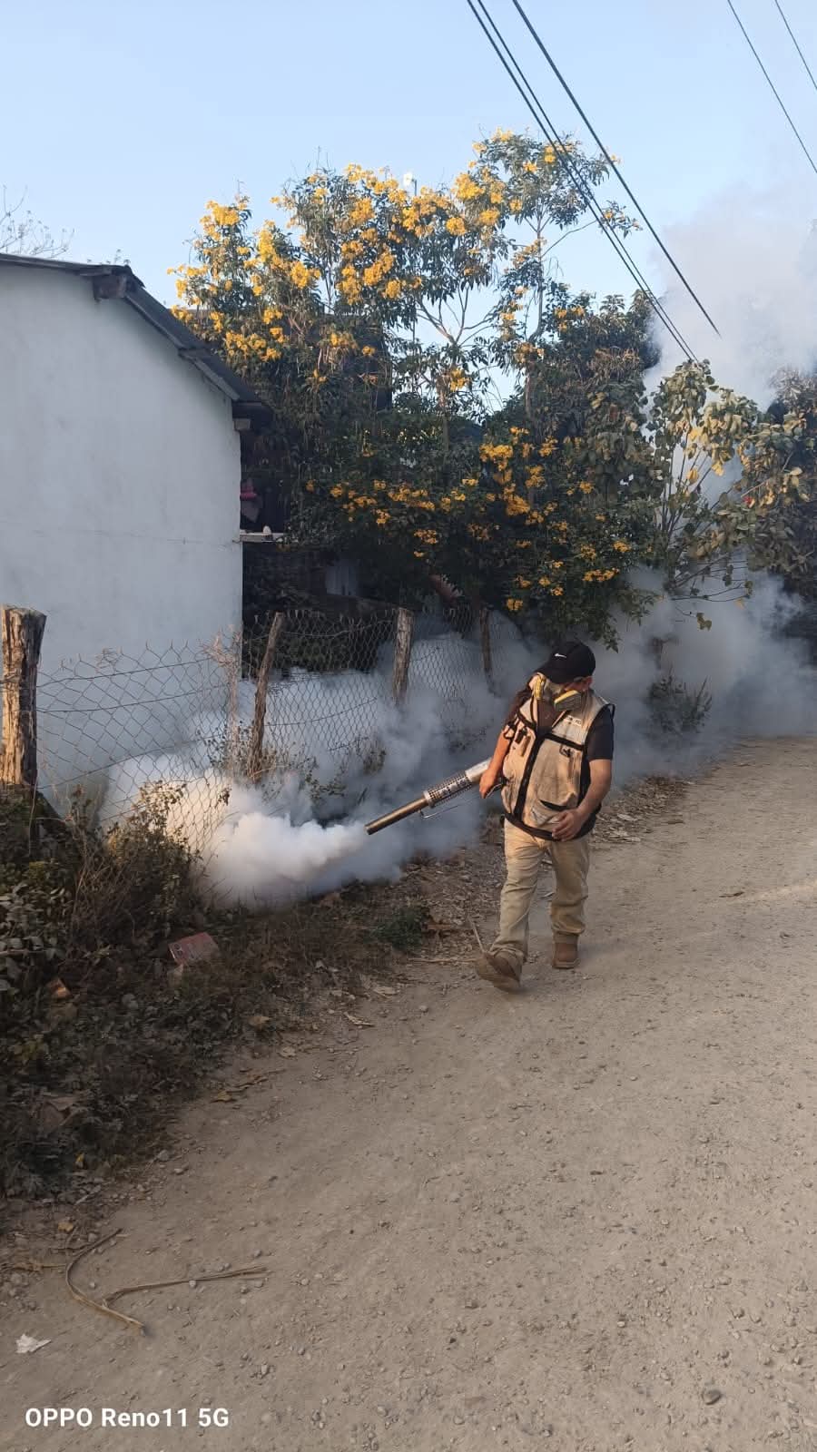 dengue servicios de salud